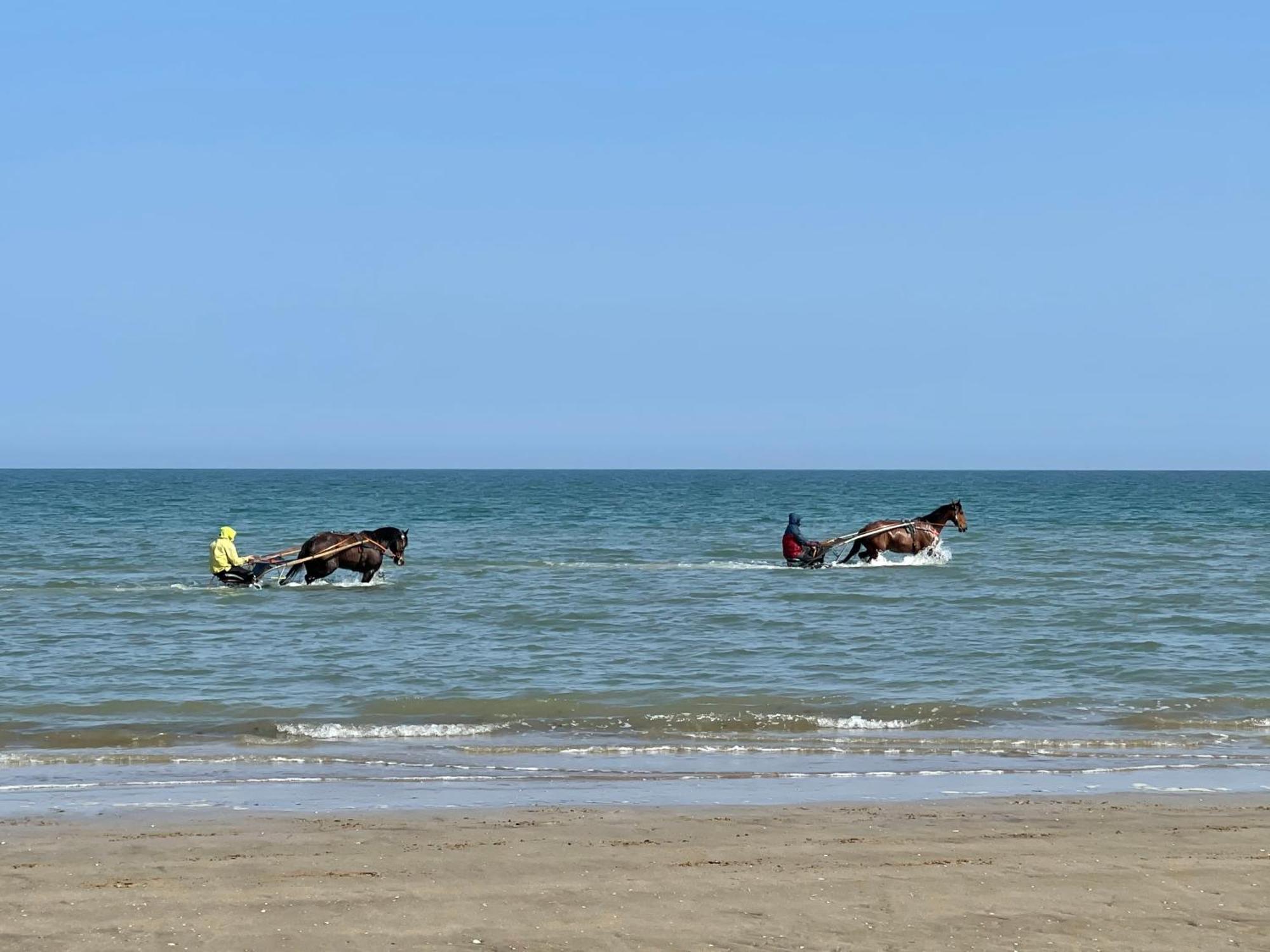Pressoir De La Mare Superhote 12 Minutes De Cabourg Goustranville Exterior photo
